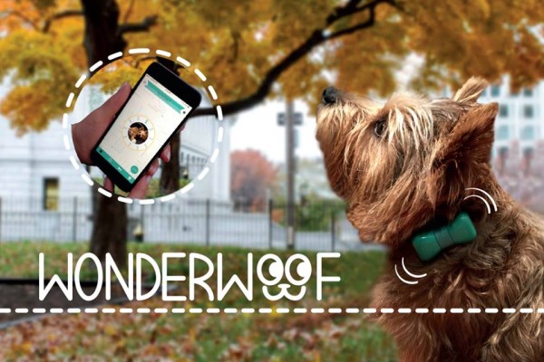 Wonderwoof Wondermento Dog Fitness tracker
